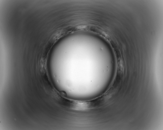 X0000086780234200704271816