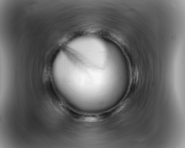 X0000086780236200704271816