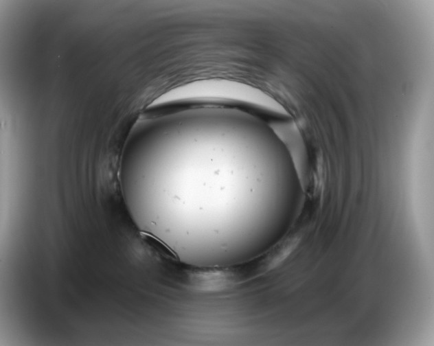 X0000086780237200704271816