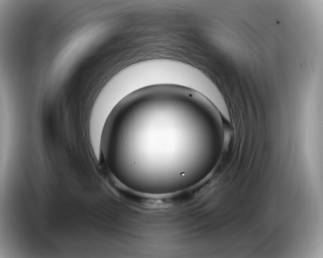 X0000086780239200704271816