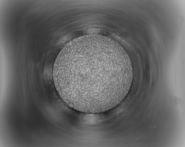 X0000086780240200704271816