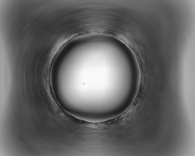 X0000086780241200704271815