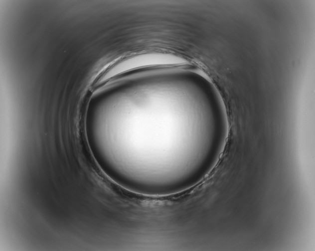 X0000086780242200704271815