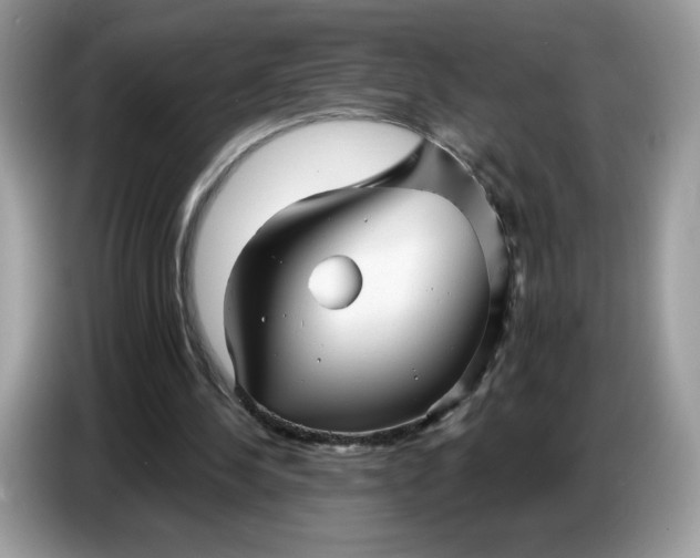 X0000086780244200704271815