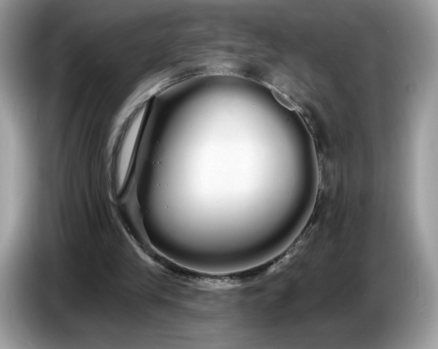 X0000086780245200704271815