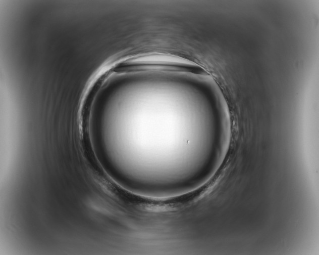 X0000086780246200704271815