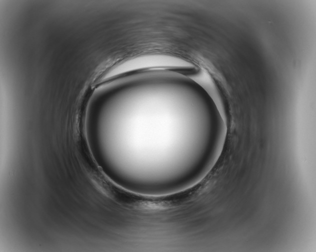 X0000086780250200704271815