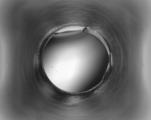 X0000086780252200704271816