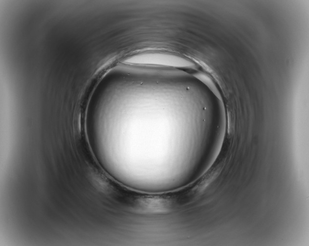 X0000086780253200704271816