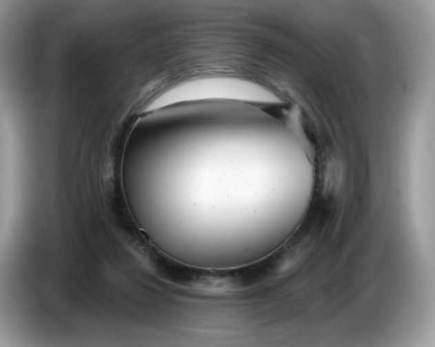 X0000086780260200704271816