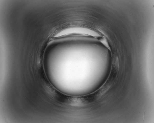 X0000086780261200704271816