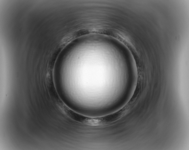 X0000086780265200704271816