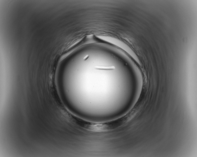 X0000086780269200704271816