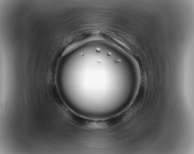 X0000086780270200704271816