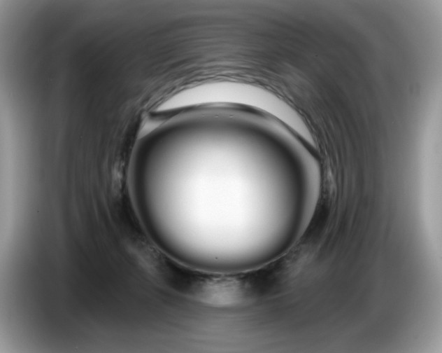 X0000086780271200704271816