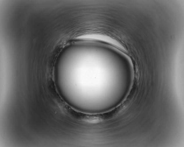 X0000086780272200704271816