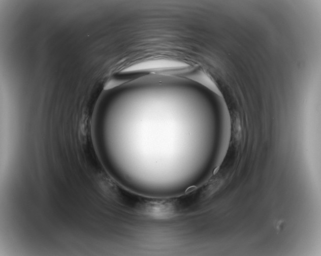 X0000086780275200704271816