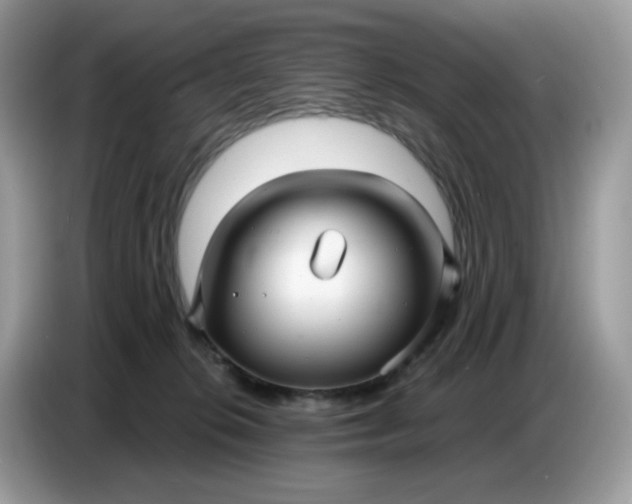 X0000086780276200704271816