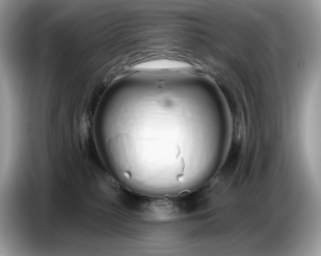 X0000086780279200704271816