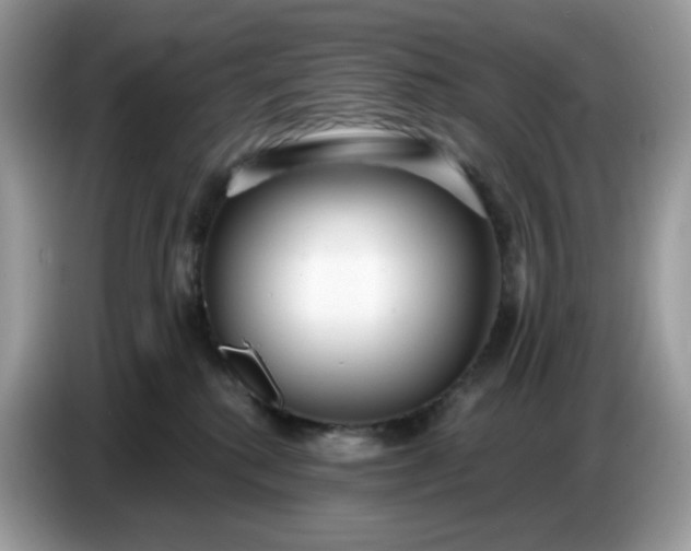 X0000086780280200704271816