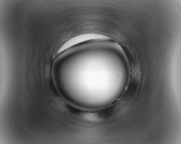 X0000086780283200704271816