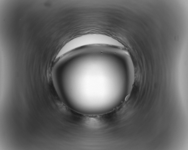 X0000086780285200704271816