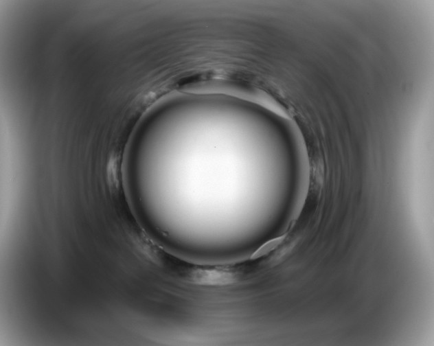 X0000086780286200704271816