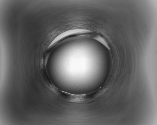 X0000086780288200704271816