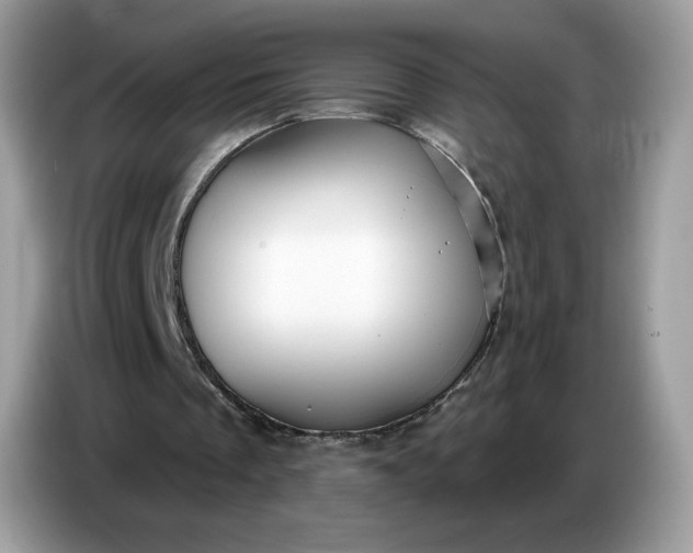 X0000086780289200704271815