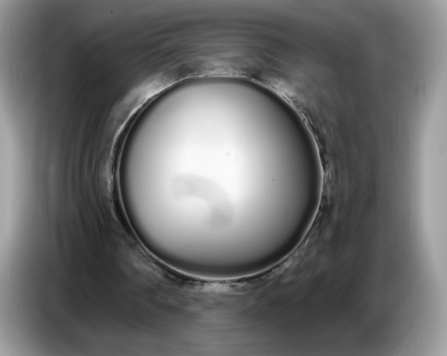 X0000086780290200704271815