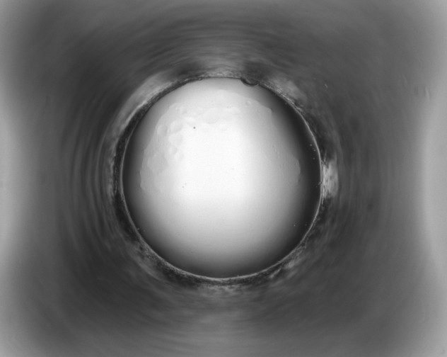 X0000086780291200704271815