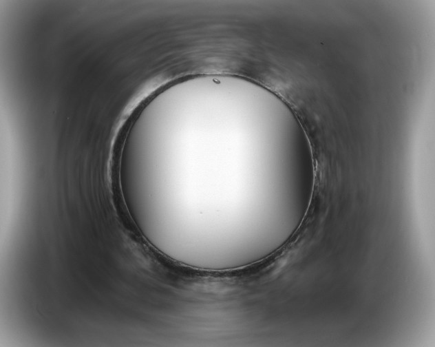 X0000086780292200704271815