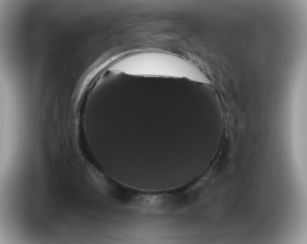 X0000086780295200704271815