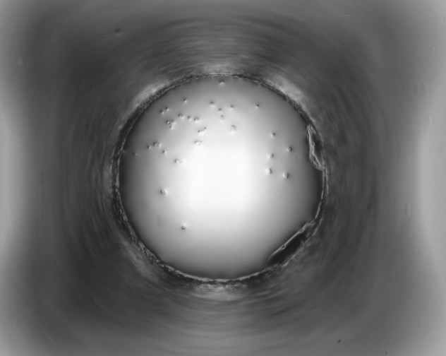 X0000086780297200704271815