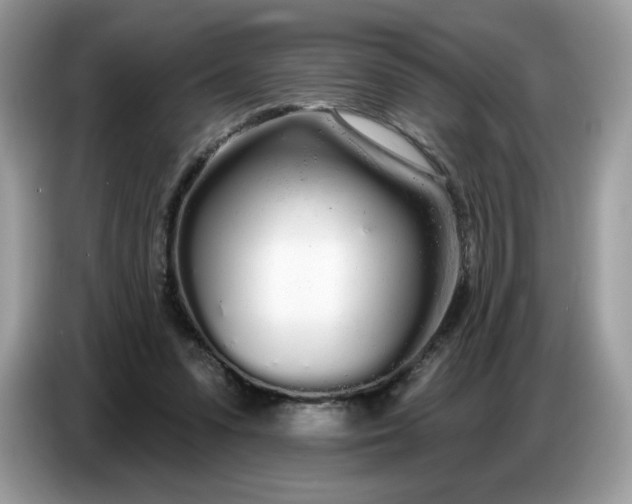 X0000086780303200704271815