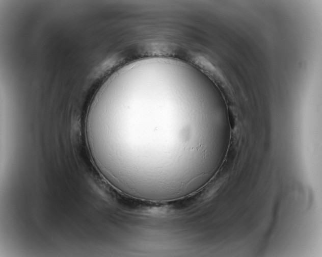 X0000086780306200704271815