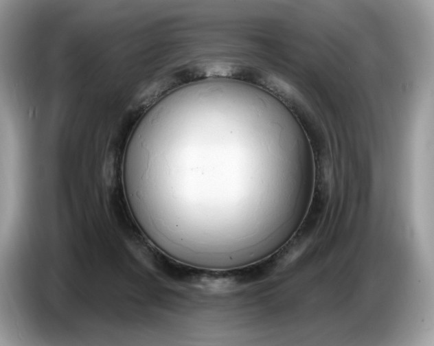 X0000086780311200704271815