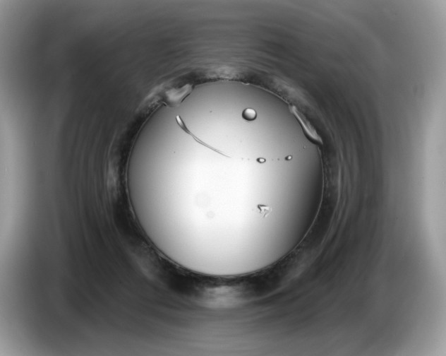 X0000086780312200704271815