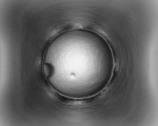 X0000086780314200704271815