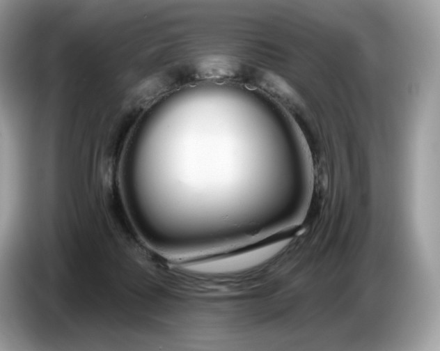 X0000086780315200704271815