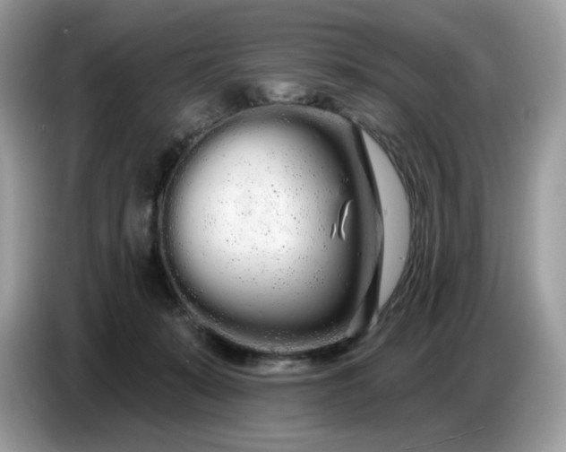 X0000086780319200704271815