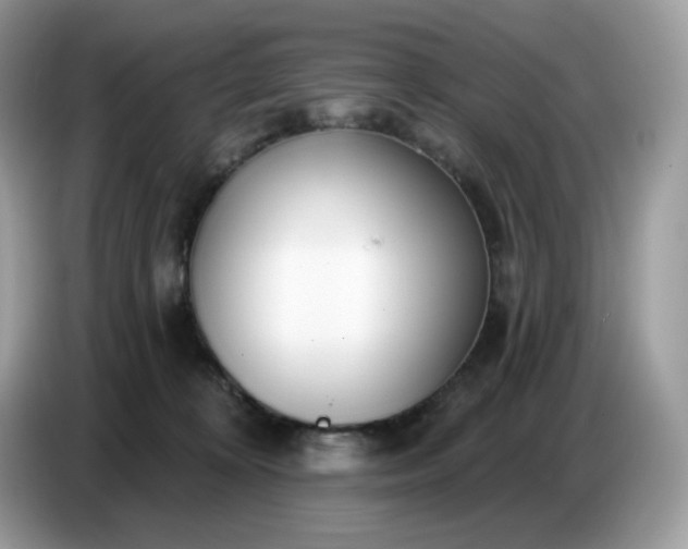 X0000086780324200704271815