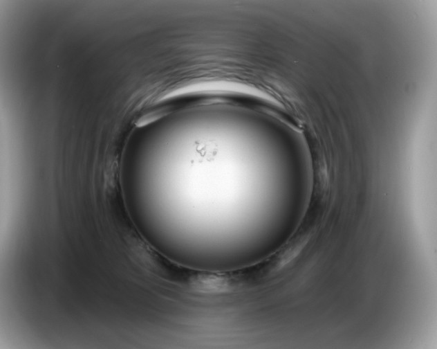 X0000086780325200704271815