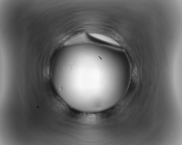 X0000086780330200704271815