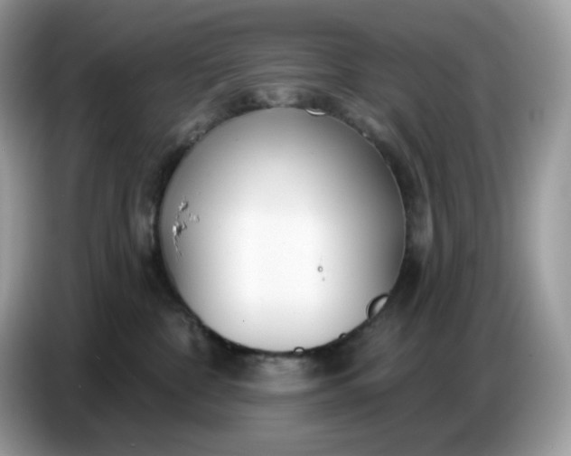 X0000086780332200704271815