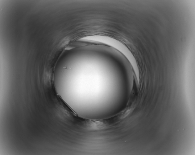 X0000086780333200704271815