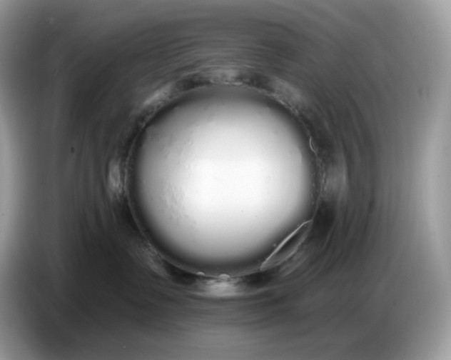 X0000086780335200704271815