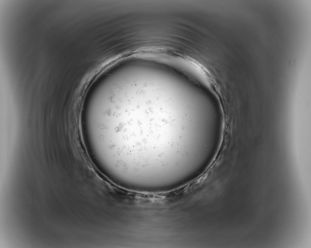 X0000086780337200704271814