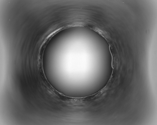 X0000086780338200704271814