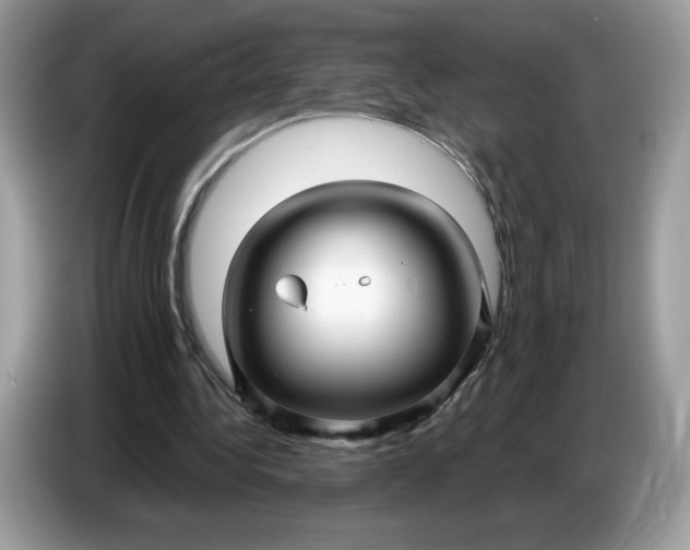 X0000086780340200704271814